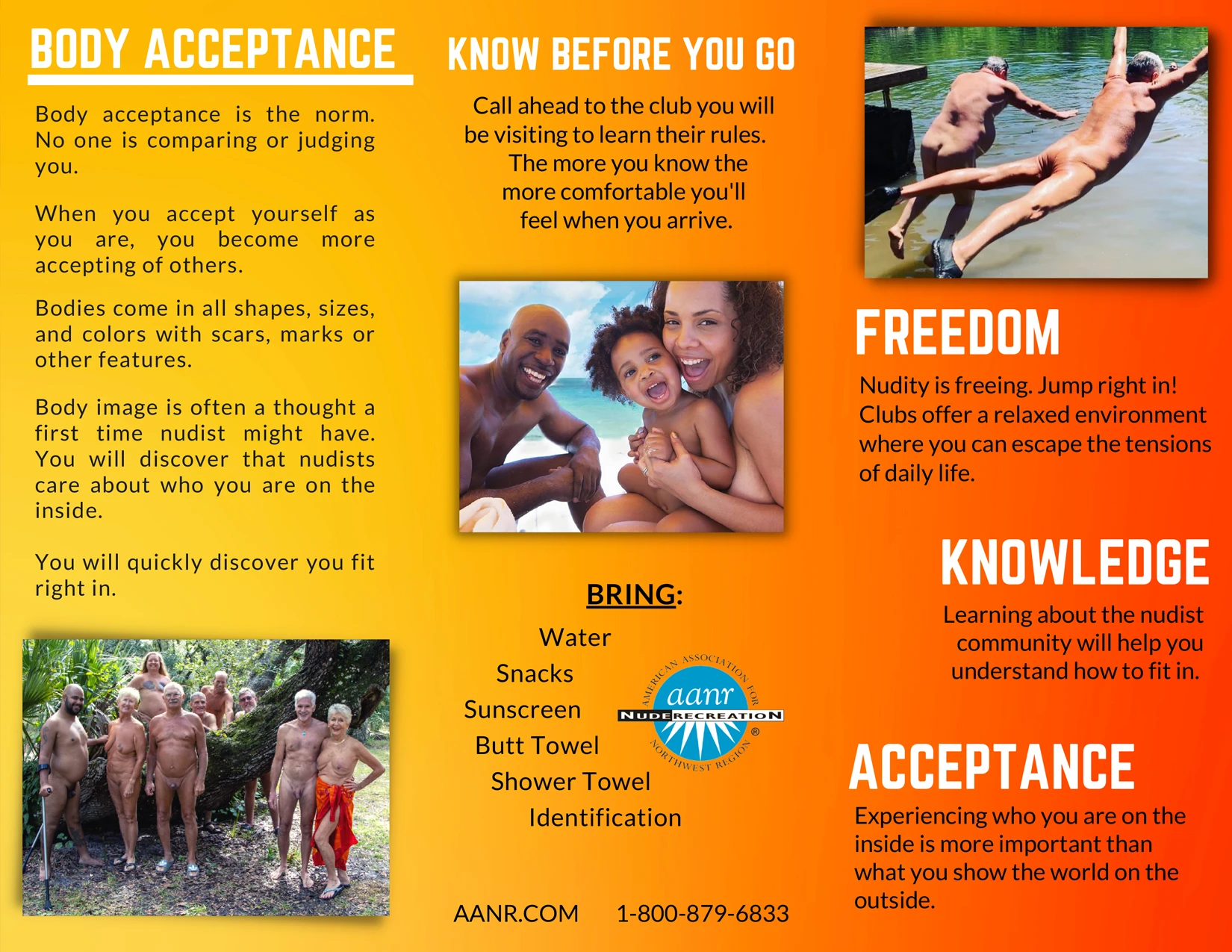 Visitors Brochure Image